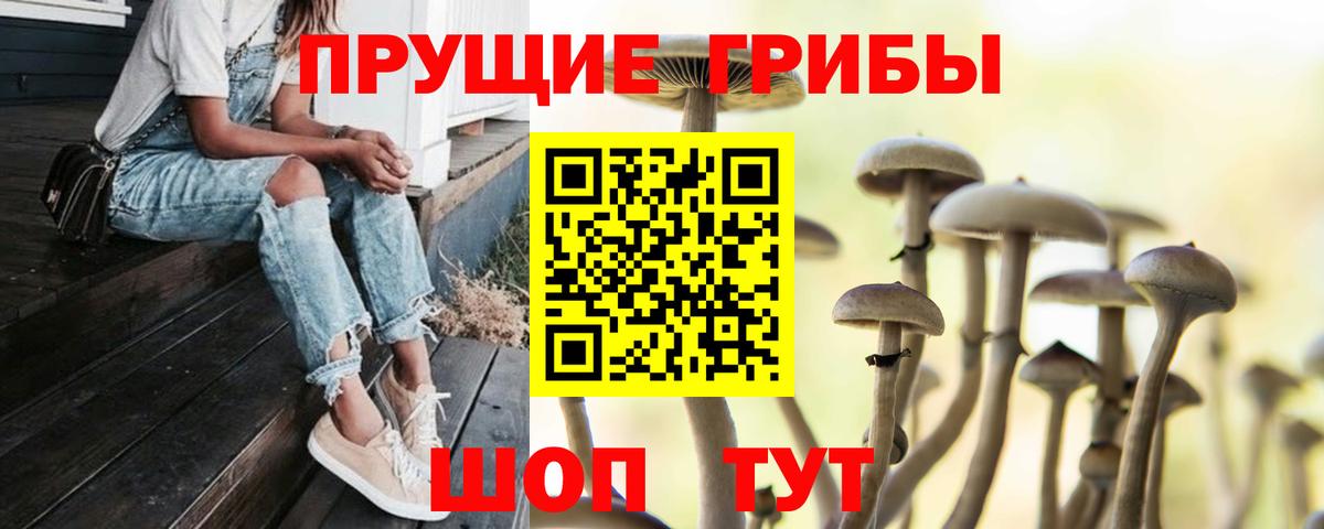 Псилоцибиновые грибы мицелий Лабинск